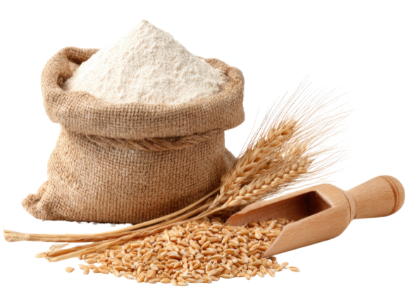 wheat bag image e1774637691984